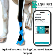 Non-surgical equine contracted tendon support for newborn foals using EquiTecs EFT taping.