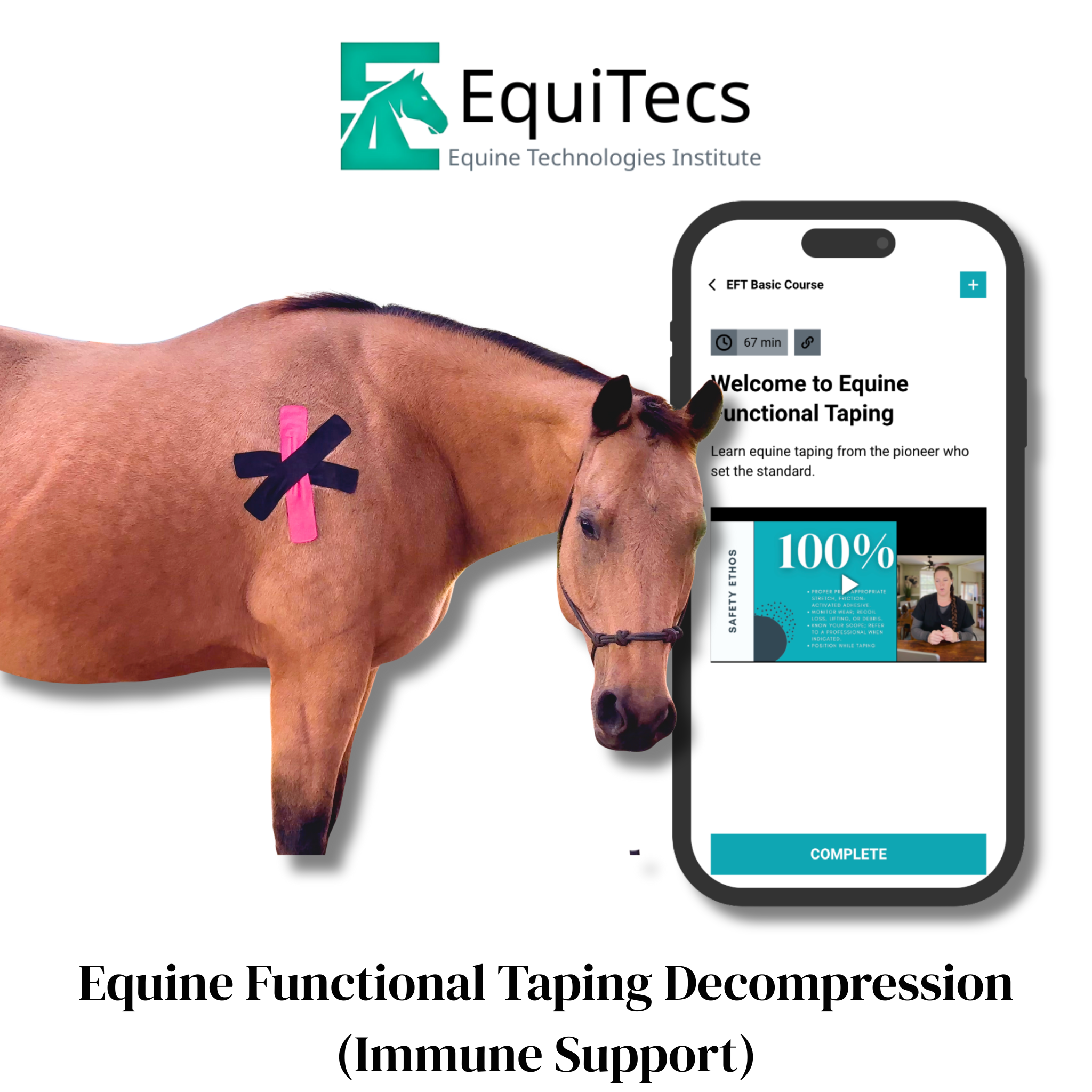 EquiTecs EFT Decompression digital course demonstrating lymphatic immune support functional taping for horse allergy hives support heaves type breathing patterns and whole body swelling.