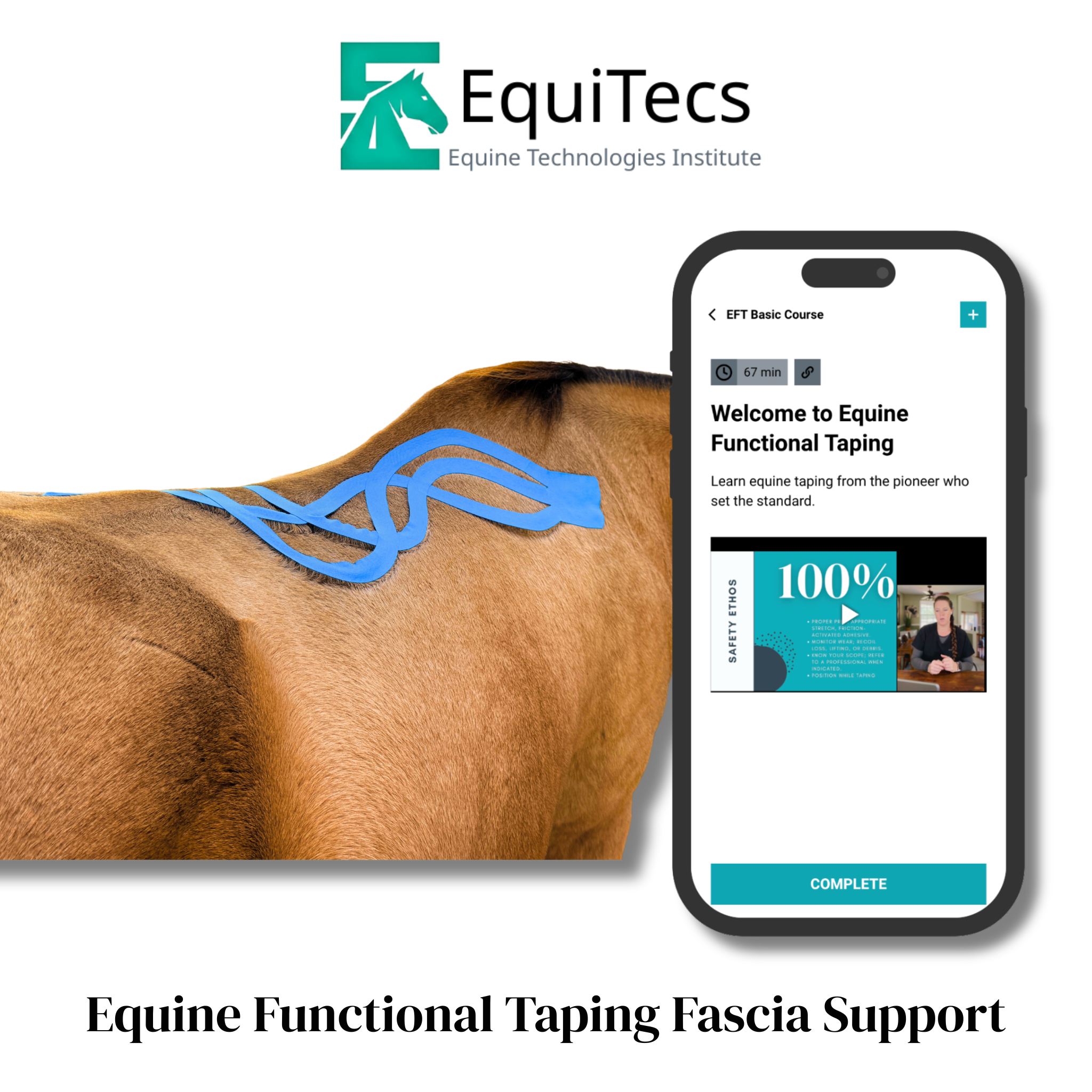 EquiTecs EFT Fascia Support digital course for continuous 24/7 myofascial release and tissue rehydration, targeting chronic stiffness and restricted mobility.