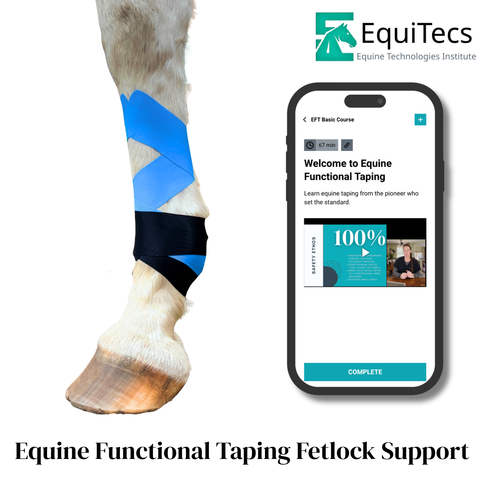 EquiTecs EFT Fetlock Support digital course demonstrating equine functional taping for fetlock region stability pastern support suspensory support overextension patterns and DSLD rehab.
