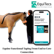 EquiTecs EFT Front End to Core Connection digital course demonstrating thoracic sling engagement and horse forehand decompression taping for posture and self-carriage.