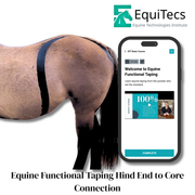 EquiTecs EFT Hind End to Core Connection digital course demonstrating equine functional taping for weak behind and trailing hind patterns to support engagement propulsion posture and self carriage.