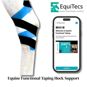 EquiTecs EFT hock support course for biomechanical joint stability, bone spavin, and natural hock fusion relief.