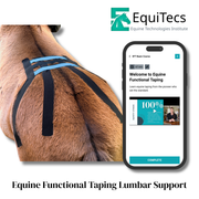 Equine Technologies Institute digital course for horse lumbar spine support, glute activation, and hind end weakness.