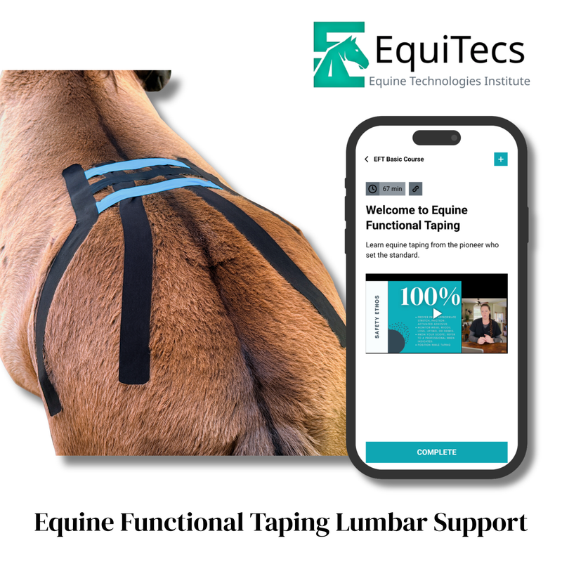 Equine Technologies Institute digital course for horse lumbar spine support, glute activation, and hind end weakness.