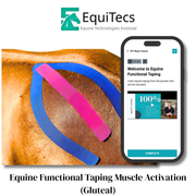 EquiTecs EFT Muscle Activation Gluteal digital course demonstrating horse gluteal functional taping for glute activation and strengthening to support hind end power propulsion balance and injury prevention.