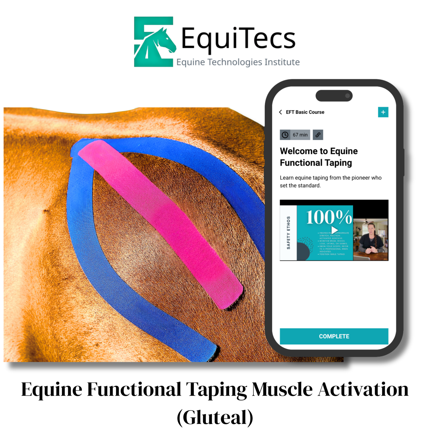 Inside, you’ll find: