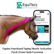 EquiTecs EFT Muscle Activation digital course demonstrating horse neck functional taping for front limb extension to correct short strided and restricted reach patterns.