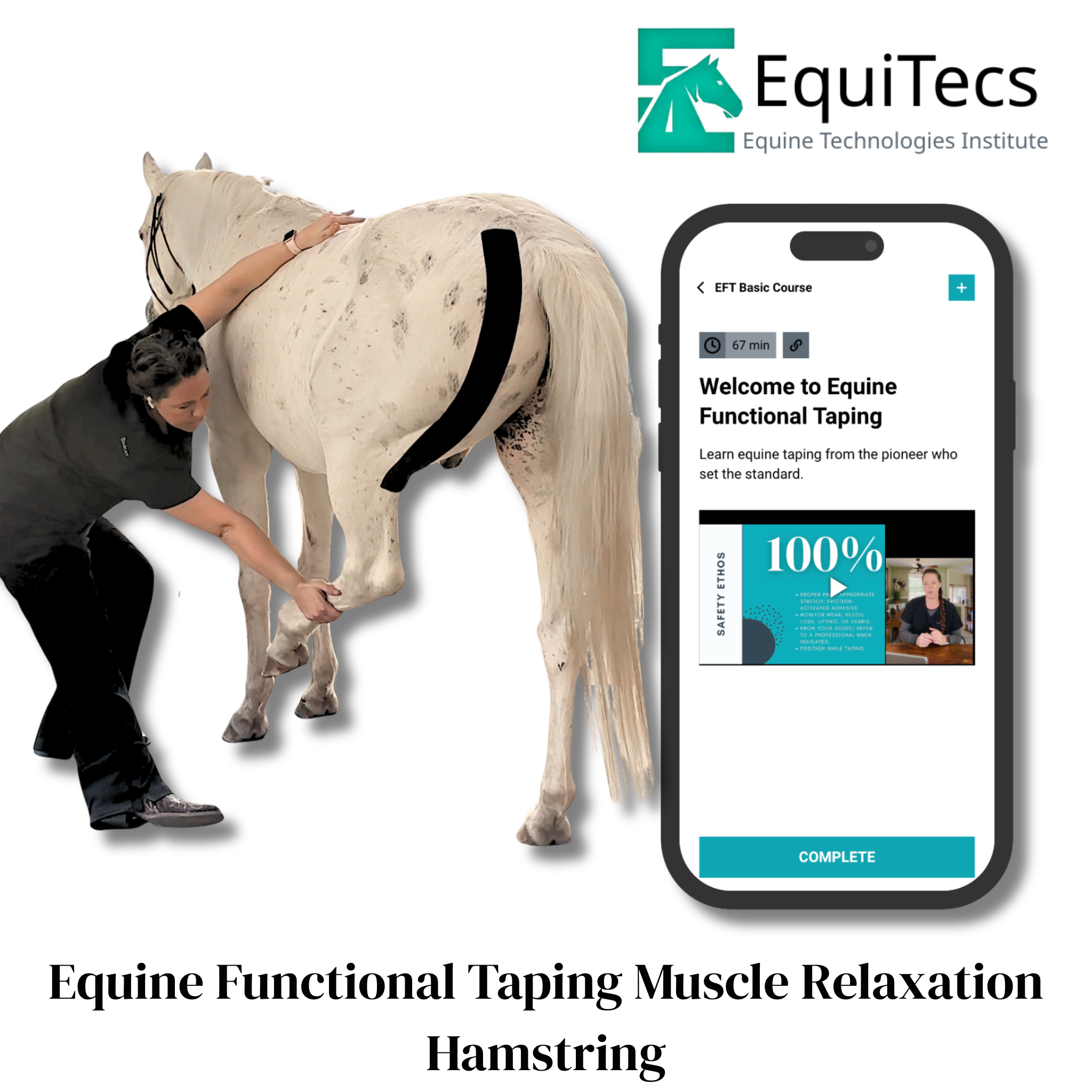 EquiTecs EFT hamstring relaxation course to relieve tight muscles and chronic horse SI joint pain.
