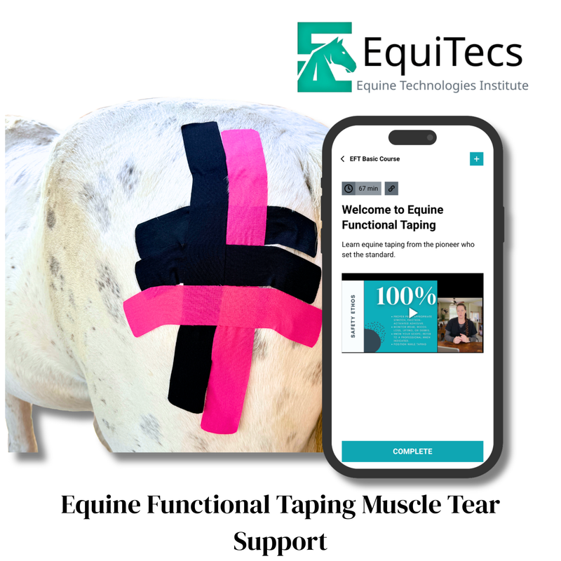 Equine Technologies Institute online video course detailing advanced muscle tear rehabilitation, tissue decompression, and fibrotic scarring treatment.