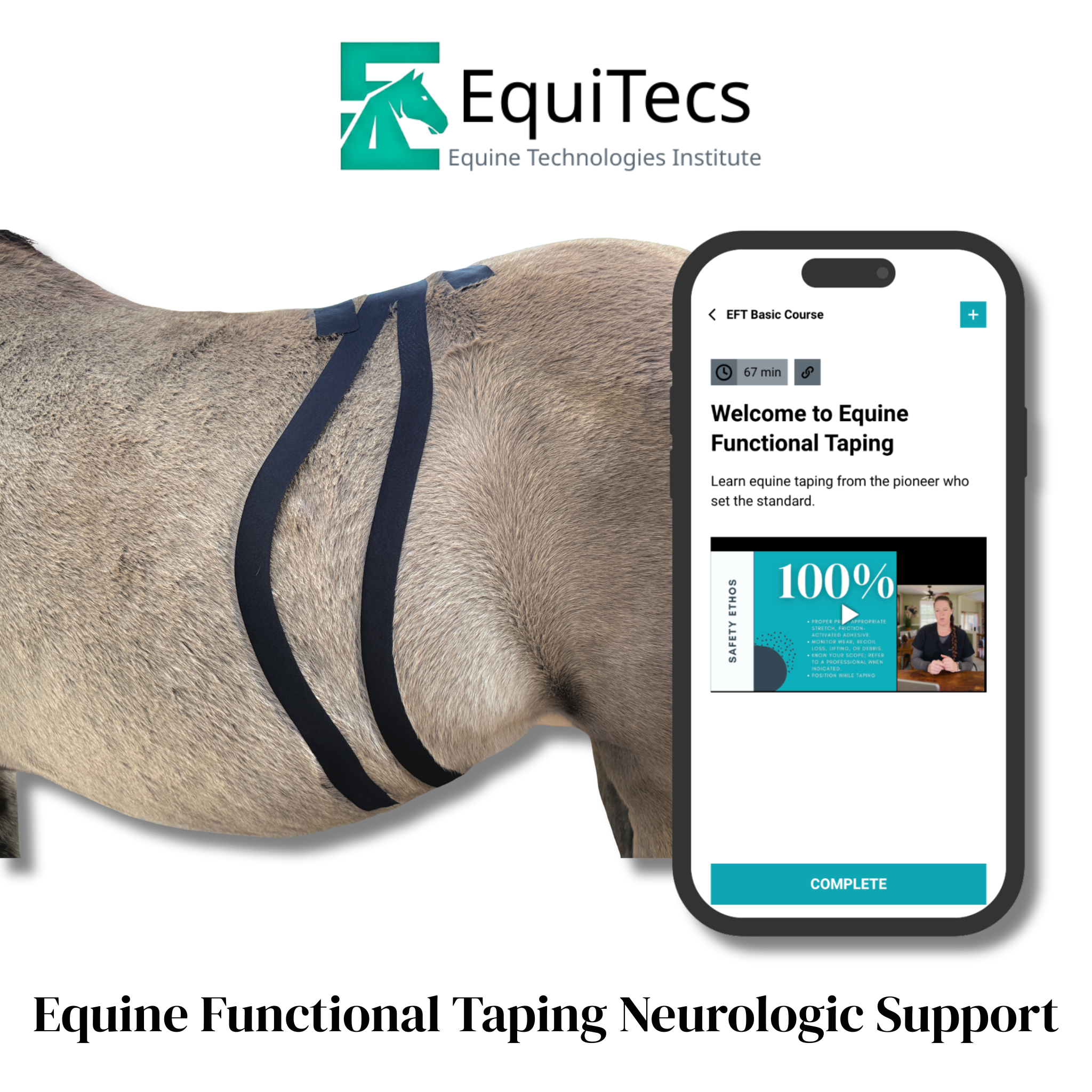 EquiTecs EFT Neurologic Support course for nerve  taping for stringhalt, sidewinder gait, PSSM, parasite recovery, mare heat cycles, digestive distress, or nerve trauma.