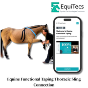 EquiTecs EFT Thoracic Sling Support digital course demonstrating equine functional taping for thoracic sling proprioceptive support to eliminate forehand heaviness and improve posture self carriage and front end stability.