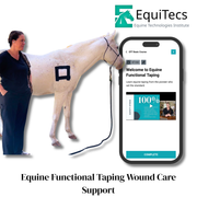 Equine Technologies Institute digital course video demonstrating turnout friendly equine functional taping as a secure vetwrap and standing wrap alternative for horse wound care and proud flesh prevention.
