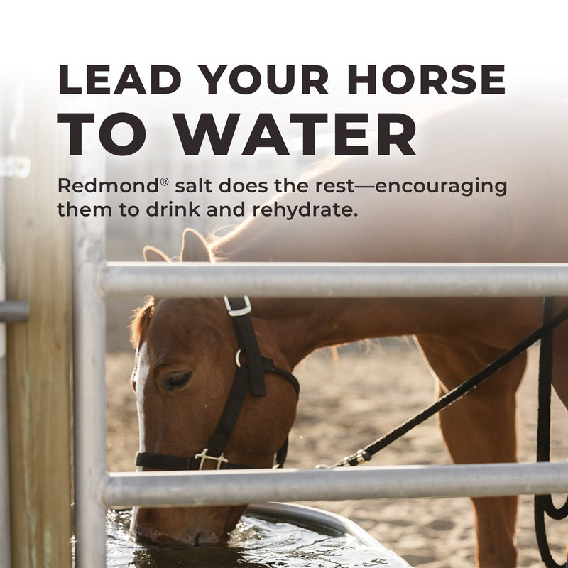 Daily Red® Crushed™ - Mineral Supplement for Horses