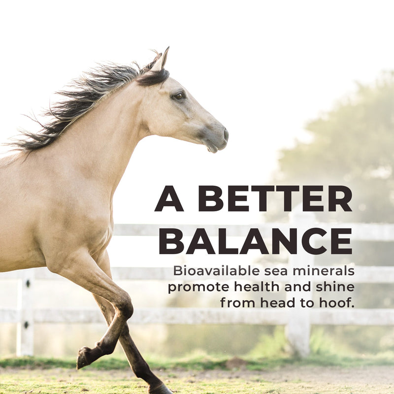 Daily Red® Fortified - Vitamin & Mineral Supplement For Horses
