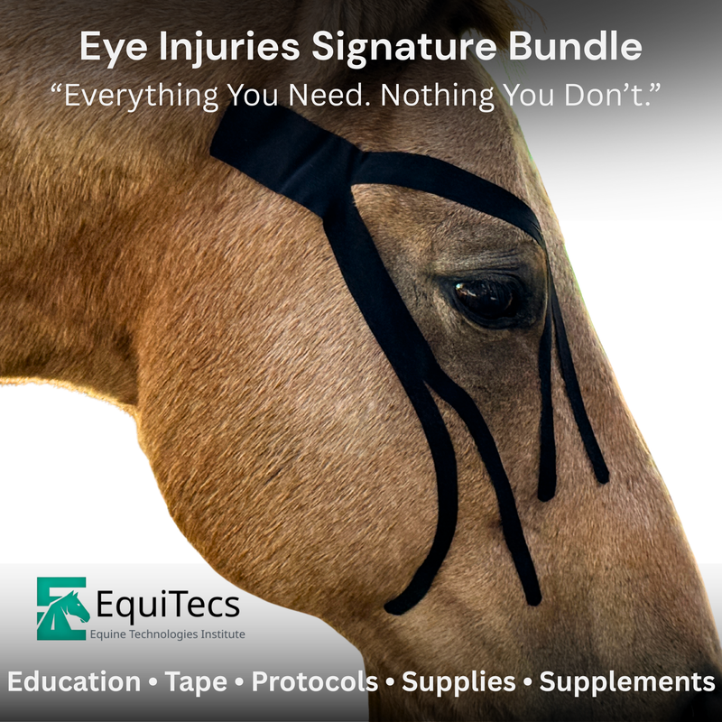 Eye Injuries Signature Bundle