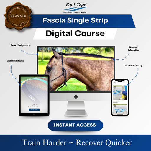 Equi-Tape®'s Fascia Module Level 1 - Fascia lines - Designed to be used on the entire fascia line, this application promotes full body rehabilitation. Fascia damage in one spot can create issues along the entire line of fascia leading to more issues down the road. This application stops issue before they start, corrects long term issue that you can't figure out, and restores a natural balanced body.