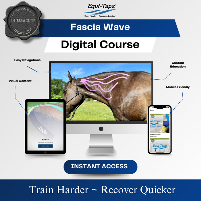 Equi-Tape Fascia Module Level 2. The Fascia Wave - created for equine muscle fascia injuries and adhesions. 