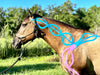 Equi-Tape® application for fascia lines. Use this application when the horse's fascia line has adhesions, or restrictions. Equine kinesiology taping for myofascial therapy. 