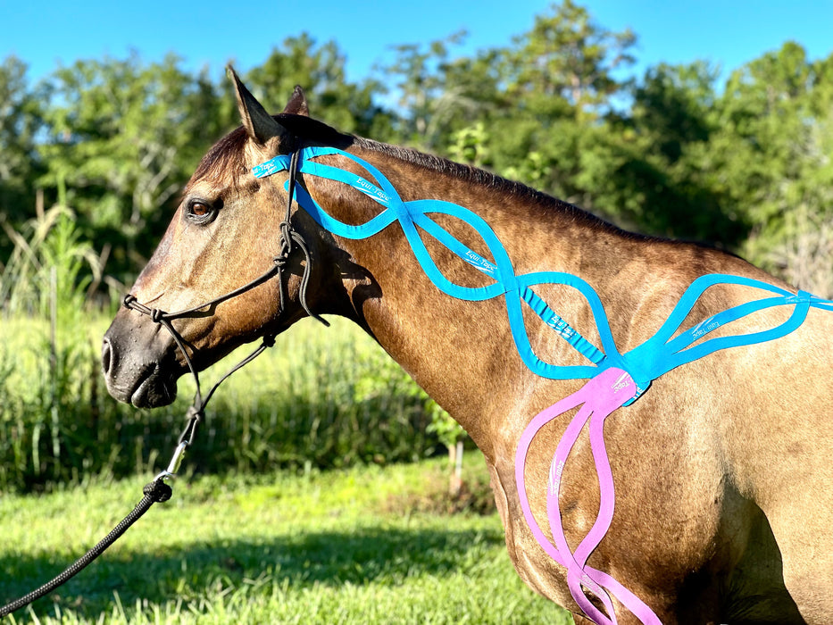 Equi-Tape® application for fascia lines. Use this application when the horse's fascia line has adhesions, or restrictions. Equine kinesiology taping for myofascial therapy. 