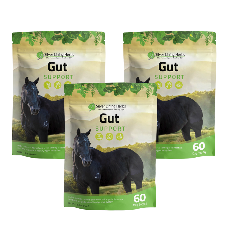 Gut Support for Horses