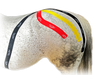Equi-Tape® application to connect the horse's hind-end and core to encourage the core muscles to engage during the stride. 