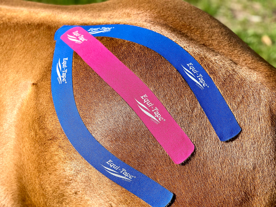 Equi-Tape® application - equine kinesiology taping - designed to assist the gluteal muscles in their function. Use this application if your horse has a sore hind-end, when in competition for more hind-end power, after competitions, or to help your horse strengthen their hind-end. 