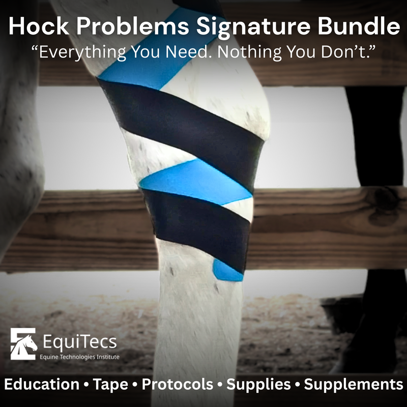 EquiTecs EFT hock support course for biomechanical joint stability, bone spavin, and natural hock fusion relief.