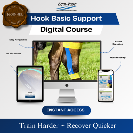Equi-Tape® Hock Module Level 1 - Designed for horses not in work to help flexion and reduce inflammation. 