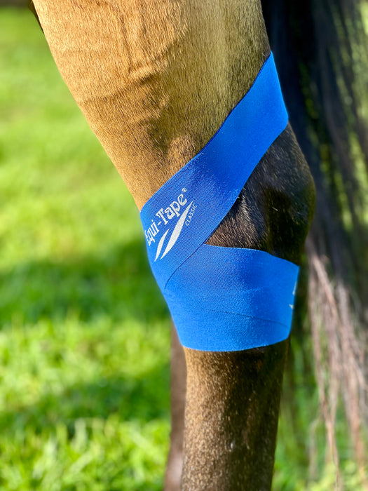 Equi-Tape® application for equine hock support. Use after hock injections, hock injuries, or for preventative support. Learn this application in the Equi-Tape Hock Module Level 2. 