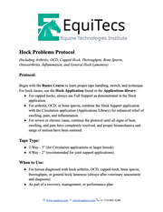 EquiTecs Hock Problems Protocol page 1 detailing non-surgical bone spavin support, arthritis relief, and joint stability.