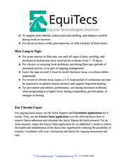 EquiTecs Hock Problems Protocol page 2 detailing equine functional taping duration and joint recovery timelines.