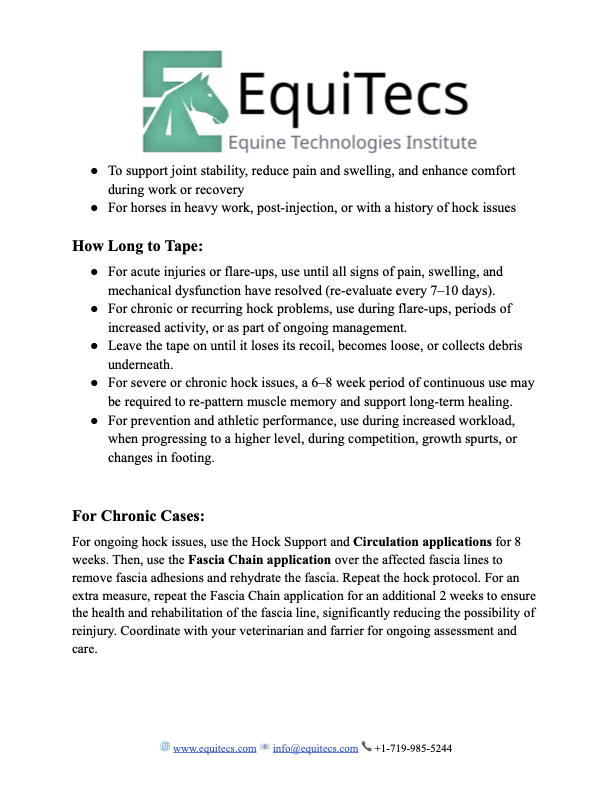 EquiTecs Hock Problems Protocol page 2 detailing equine functional taping duration and joint recovery timelines.