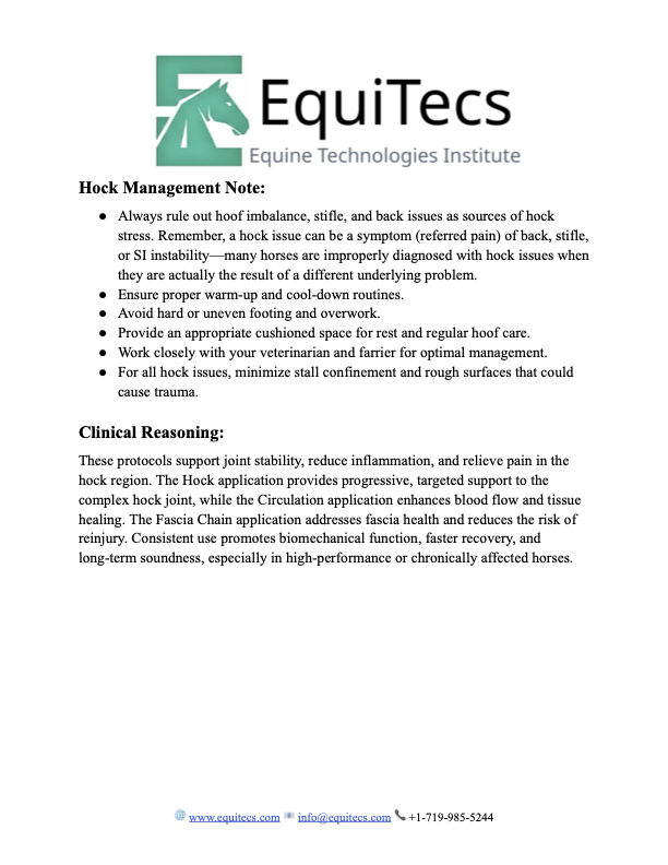 EquiTecs Hock Problems Protocol page 3 explaining referred hock pain, hoof imbalance, and stifle stress factors.