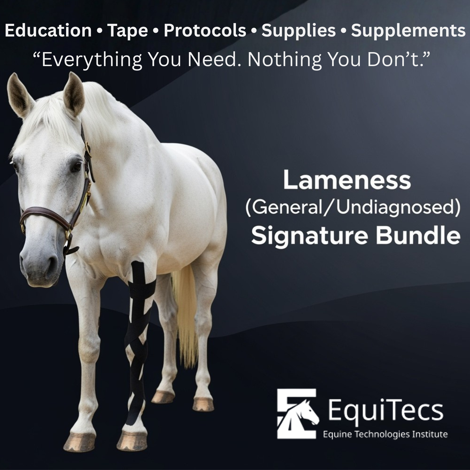 Lameness Protocol for Horses