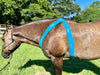 Equi-Tape® application for thoracic sling support. Use this application to help horses engage their thoracic sling naturally, lessening the need for other aids.