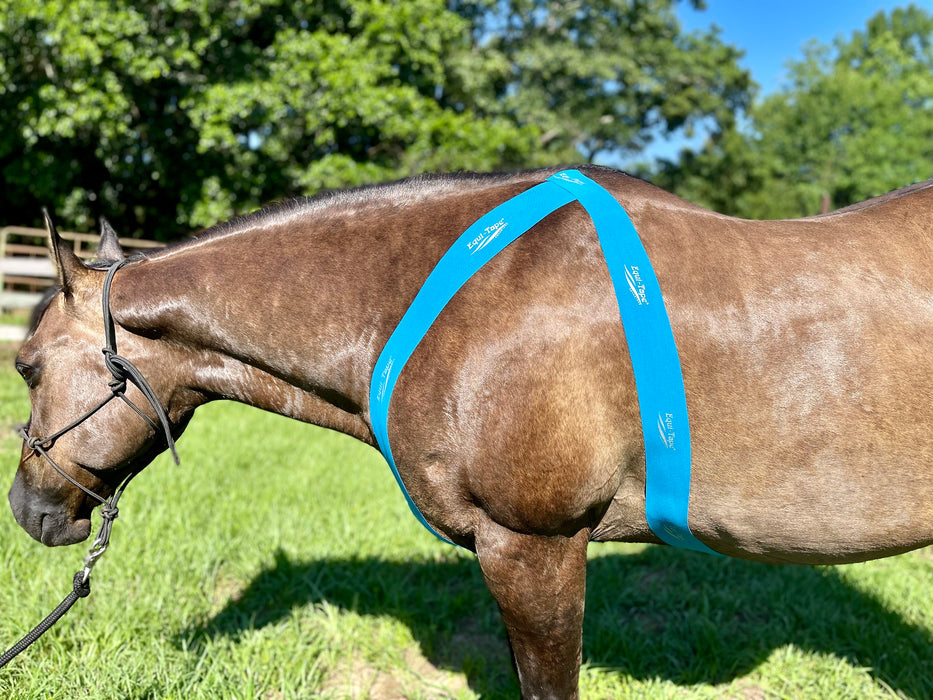 Equi-Tape® application for thoracic sling support. Use this application to help horses engage their thoracic sling naturally, lessening the need for other aids.
