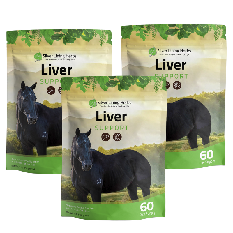 Liver Support for Horses