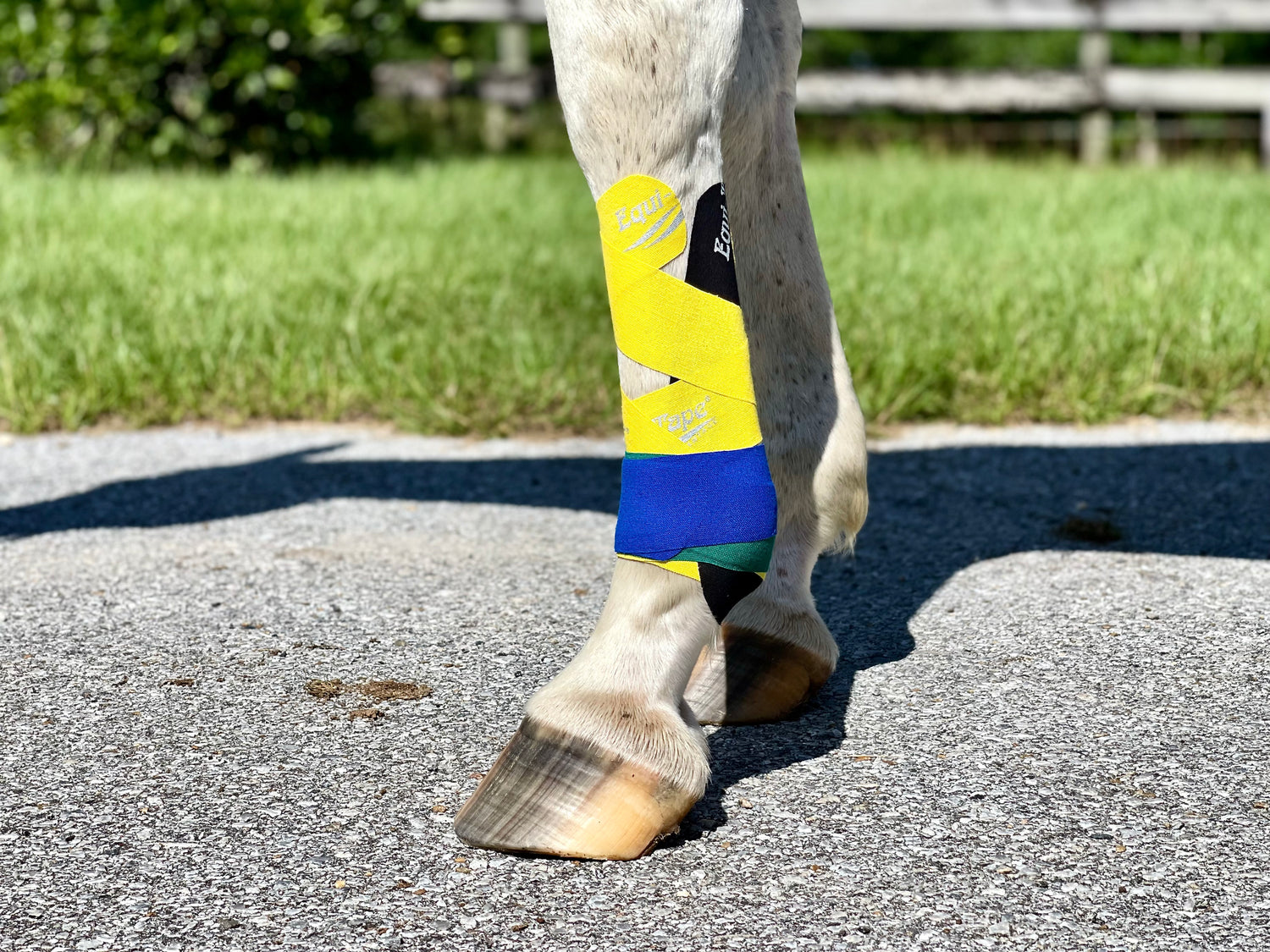 Equi-Tape®'s Lower Leg Application Level 2 - Designed for full lower leg support for all lower leg injuries, or for injury prevention for hard work & competition. 