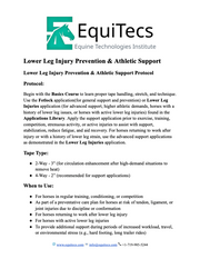EquiTecs Lower Leg Injury Prevention and Athletic Support Protocol page 1 for horse tendon and ligament care.