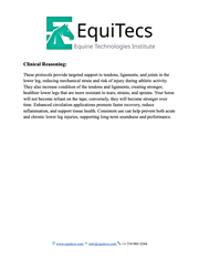 EquiTecs Lower Leg Injury Protocol page 3 explaining tendon mechanical strain reduction and joint injury prevention.