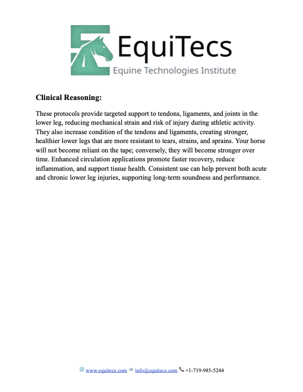 EquiTecs Lower Leg Injury Protocol page 3 explaining tendon mechanical strain reduction and joint injury prevention.