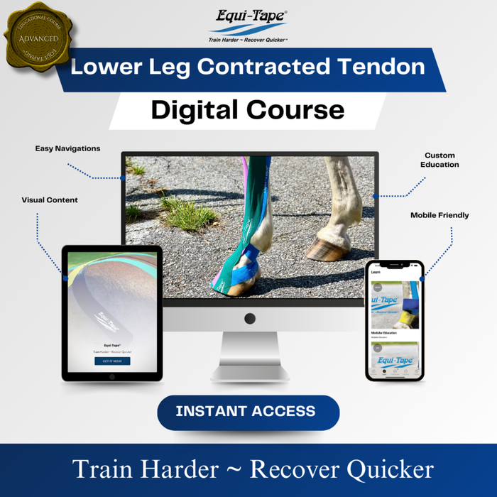 Equi-Tape®'s Lower Leg Module Level 4 - Contracted Tendons Corrective Support: Advanced taping to help correct contracted tendons—ideal for rehab or complex cases.