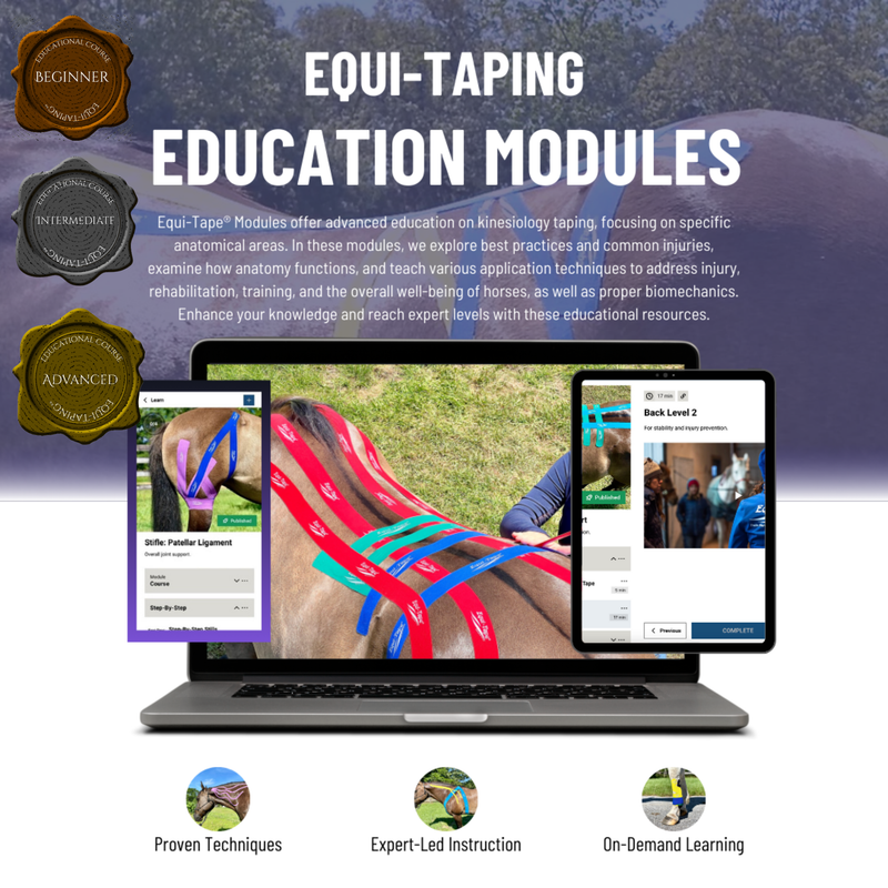 The Equi-Tape® Modules build your knowledge and skills with progressive, expert-led modules for every major equine joint and system. Downloadable videos and bonus resources included.