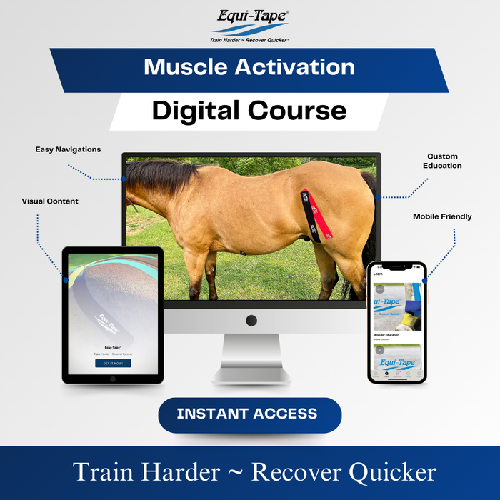 Equi-Tape®'s Practical Solutions ALA Carte application video for horses who need to build the tensor fascia latae (TFL), one of the primary muscles in stifle function. 
