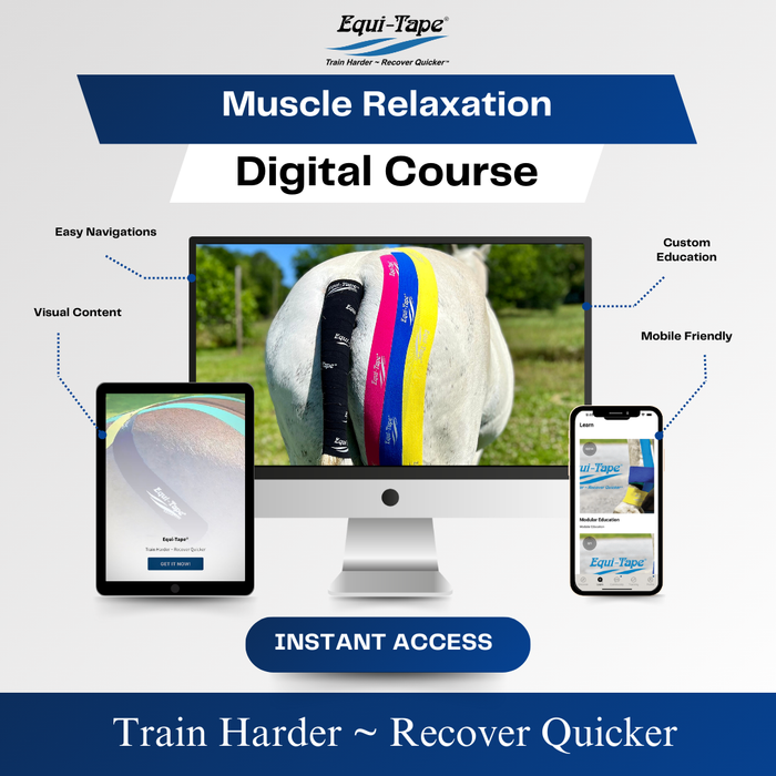 Equi-Tape®'s Practical Solutions ALA Carte application video for horses with sore, tight, or tender "hamstrings."