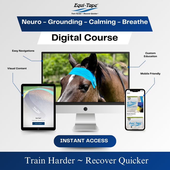 Equi-Tape®'s Practical Solutions ALA Carte application video for horse's who get worried or nervous while working, standing for a farrier, young horses just getting started, and many more uses.