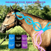 Equi-Tape® Advantage 3" color pack. Best seller - includes 2 rolls of each Advantage 3" Purple, Light blue, and Black. Great for active tapers. Equi-Tape made specifically for horses, not just a stickier tape. 