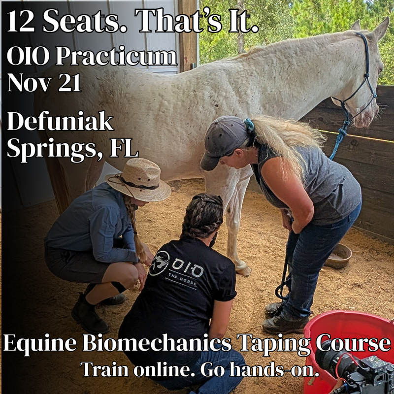 OIO Biomechanics Practicum (In Person)