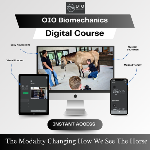 OIO Biomechanics Taping Modality. Transform your understanding of equine movement with Rebecca Haddock’s proprietary OIO (Observe • Interpret • Optimize™) system. This is the only course that teaches true biomechanic taping—structurally and methodologically distinct from kinesiology taping. If you want to identify, assess, and address movement dysfunction at its root, this is your next step.